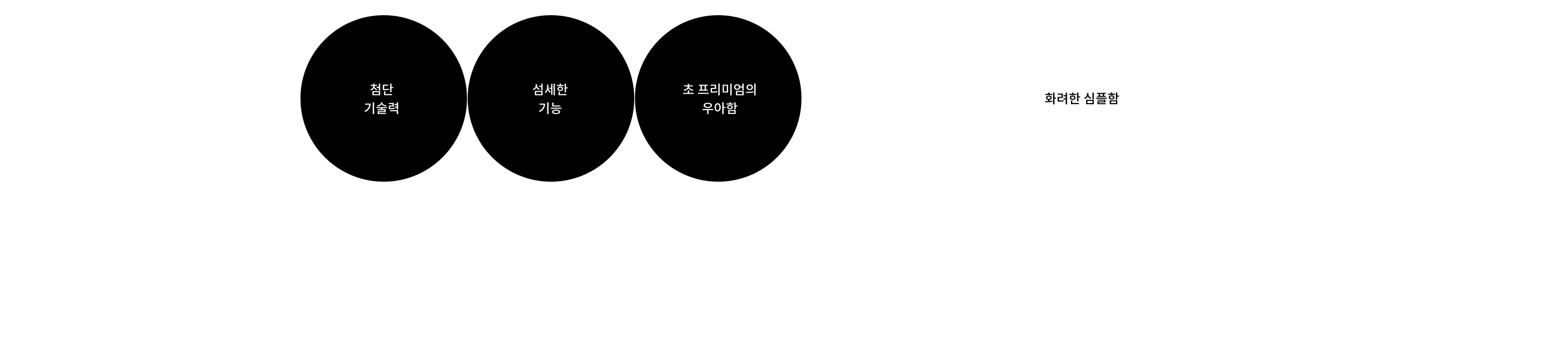 첨단 기술력, 섬세한 기능, 초 프리미엄의 우아함 → 화려한 심플함